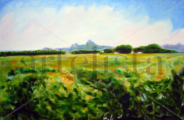 Entre Sax y Salinas... Acrylic Canvas Landscaping