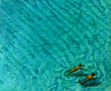 Bañistas.