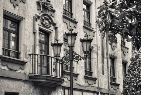 Gris urbano