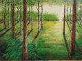 paseo por el bosque