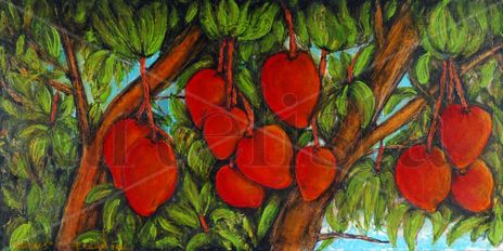 Mangos