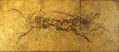 Dorado