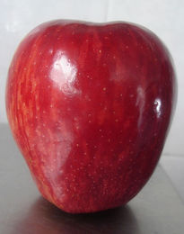 Manzana del Edén