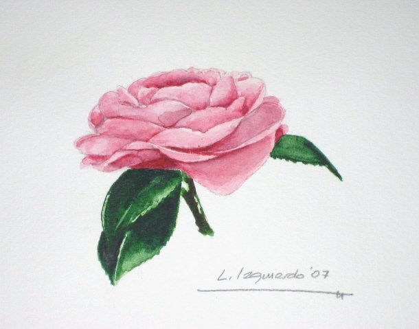 Rosa Acuarela Papel Floral