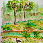 Paisajes thumbnail 1