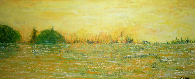 Campo dorado al amanecer