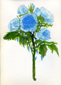 Study of blue roses...