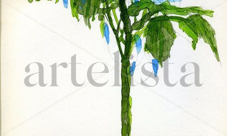 IBARZ WATERCOLOURS