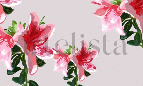 Azaleas rosas