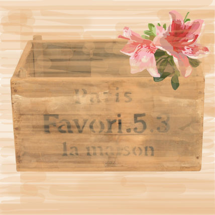 Azaleas en caja de...