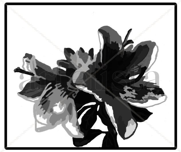 Azaleas blanco-negro 