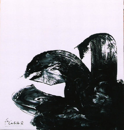 Tortuga