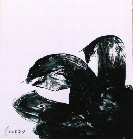 Tortuga