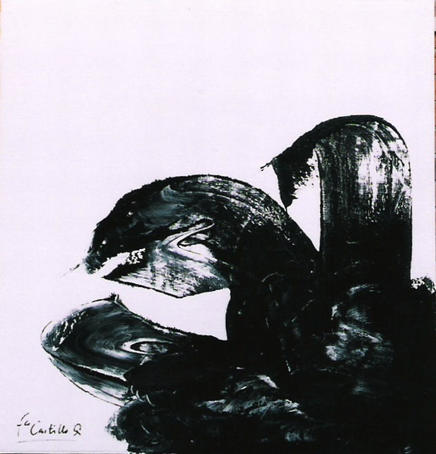 Tortuga