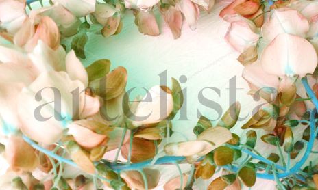 Flores de dulces colores