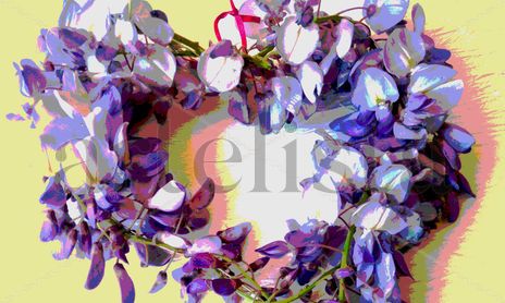 Flores malvas y lilas