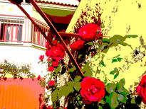 Fachada de rosas rojas