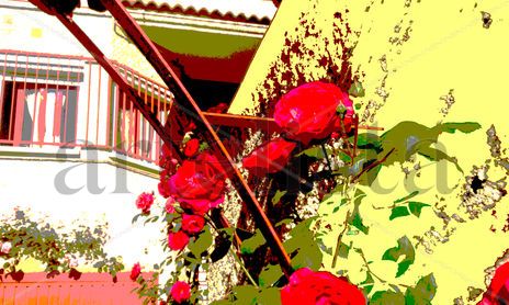 Fachadas decoradas con flores