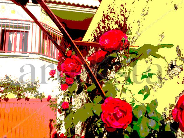 Fachada de rosas rojas