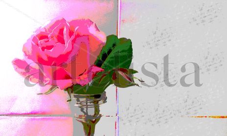 Solamente rosas