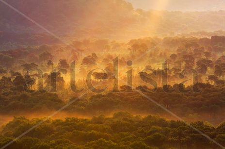 Amanecer 5956