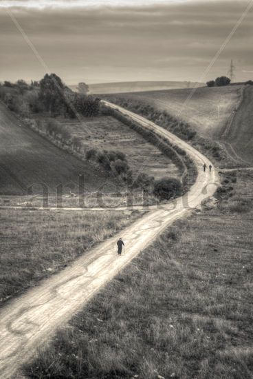 El paseo Otras temáticas Blanco y Negro (Digital)