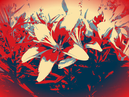 Lilium rojo y beig