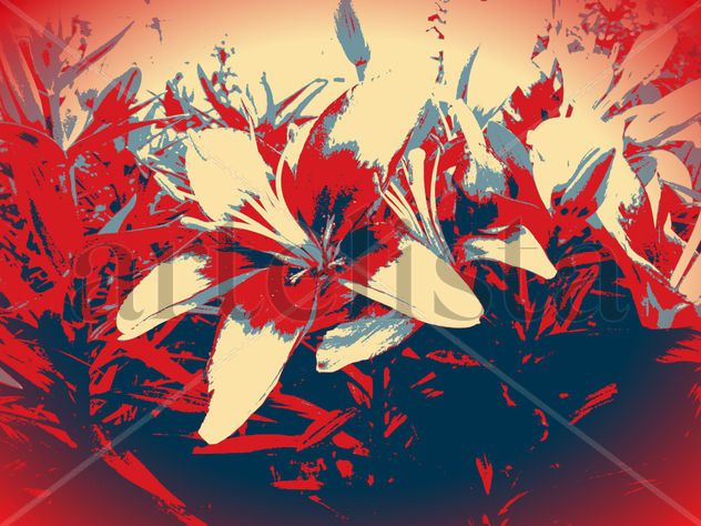 Lilium rojo y beig