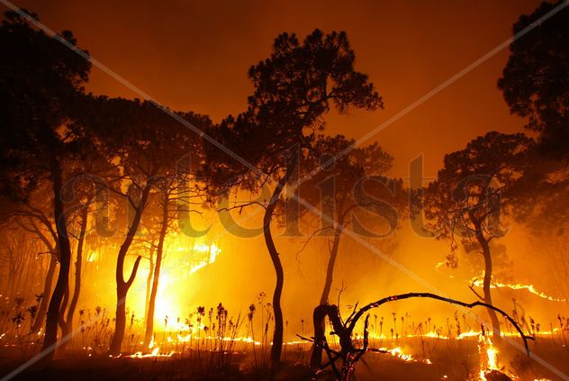 Incendio 0004