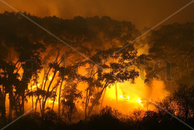 Incendio 015