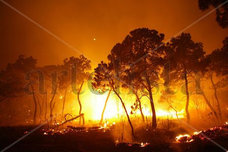 Incendio 0027