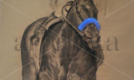 turf, racing horses,