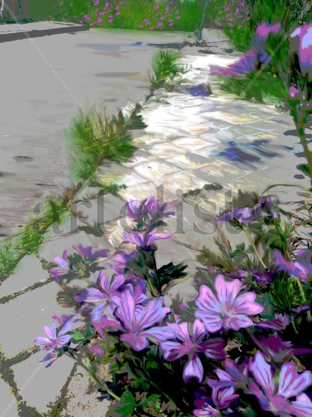 Flores silvestres en el asfalto