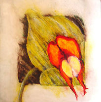 Orquídea 6