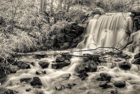 El arroyo #2