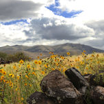 Cusco 2015 thumbnail 1
