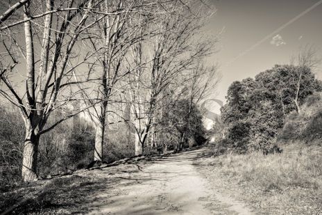 Camino por la ribera
