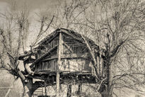 La casita en el árbol