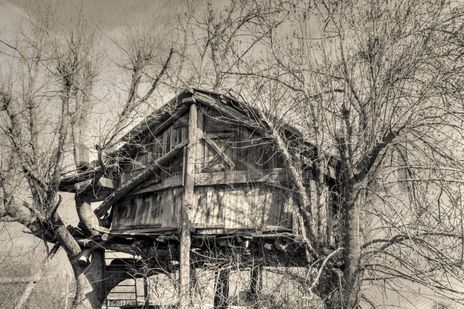 La casita en el árbol