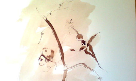 Dibujos en nogalina