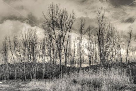 Largo invierno
