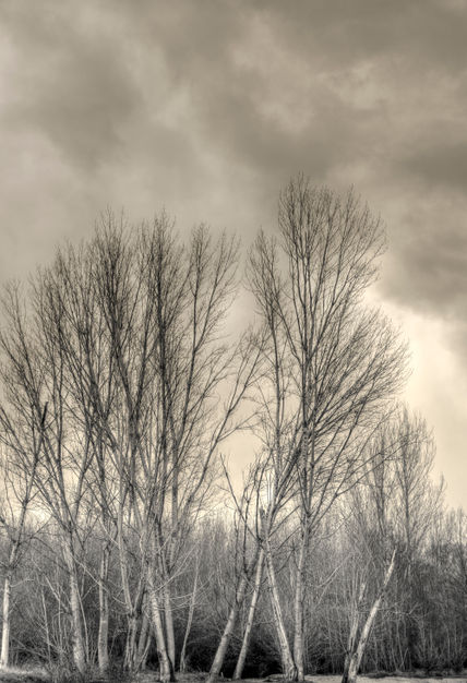 Largo invierno #2