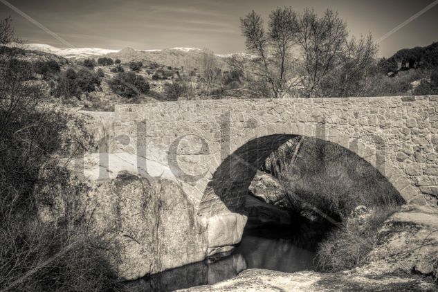 El puente medieval Arquitectura e interiorismo Blanco y Negro (Digital)