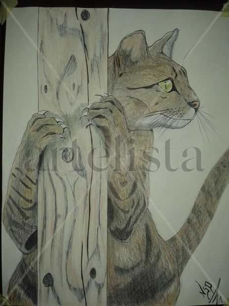 Gato