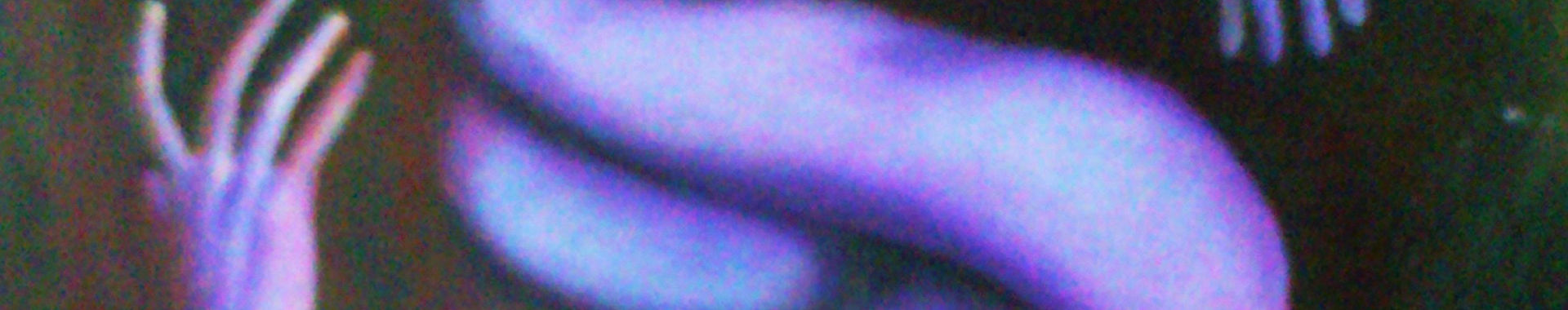 Imagen de portada