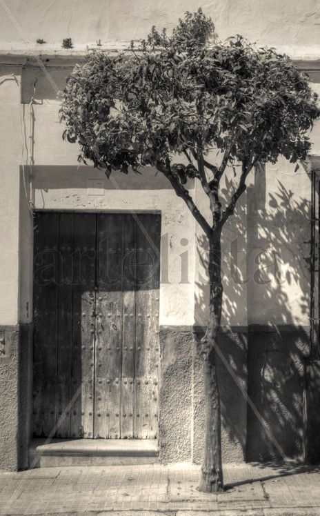 Puerta #9