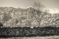 Paisaje de Guadarrama