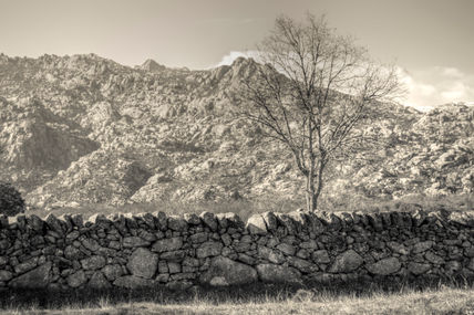 Paisaje de Guadarrama