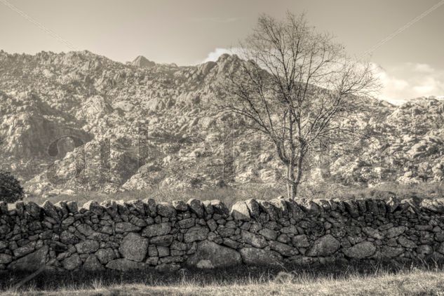 Paisaje de Guadarrama Naturaleza Blanco y Negro (Digital)