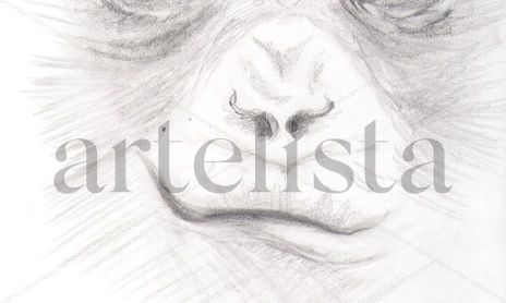 Dibujo